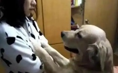 幸福宝草莓榴莲深夜释放自己